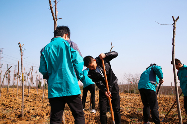 “攜手植樹，共創(chuàng)藍(lán)天”丨南京新華師生共筑新華育才林