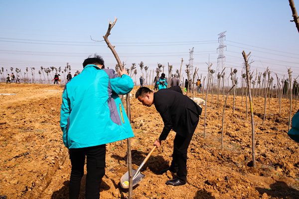 “攜手植樹，共創(chuàng)藍(lán)天”丨南京新華師生共筑新華育才林